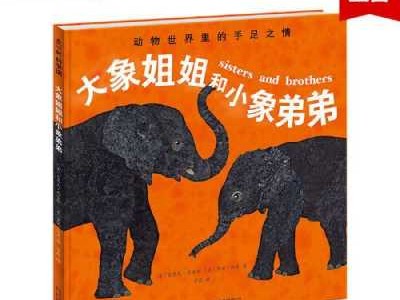 大象小象和人读后感（大象小象和人中的母亲是一个怎样的人）