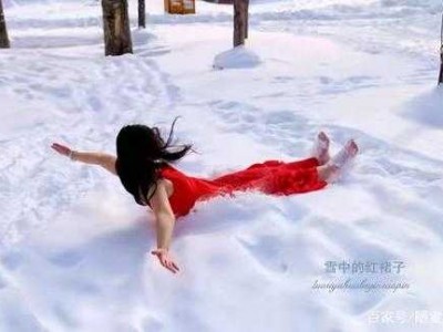 雪中舞会读后感（雪中跳舞的红裙子 阅读）