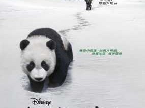 电影熊猫团圆路读后感（团圆小熊猫新书）