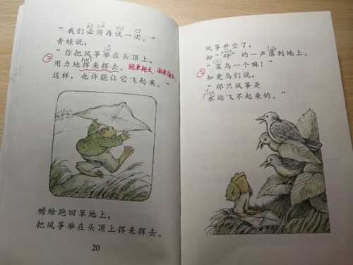 青蛙和飞鸟的读后感的简单介绍