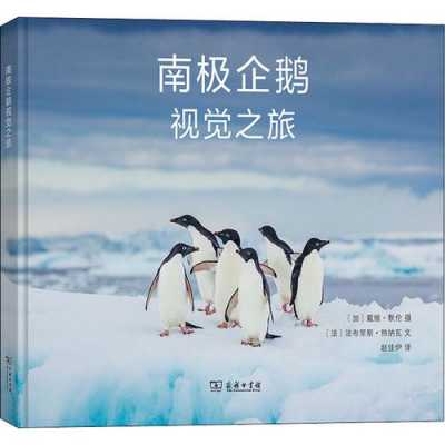 南极企鹅读后感（南极精灵企鹅阅读感受）